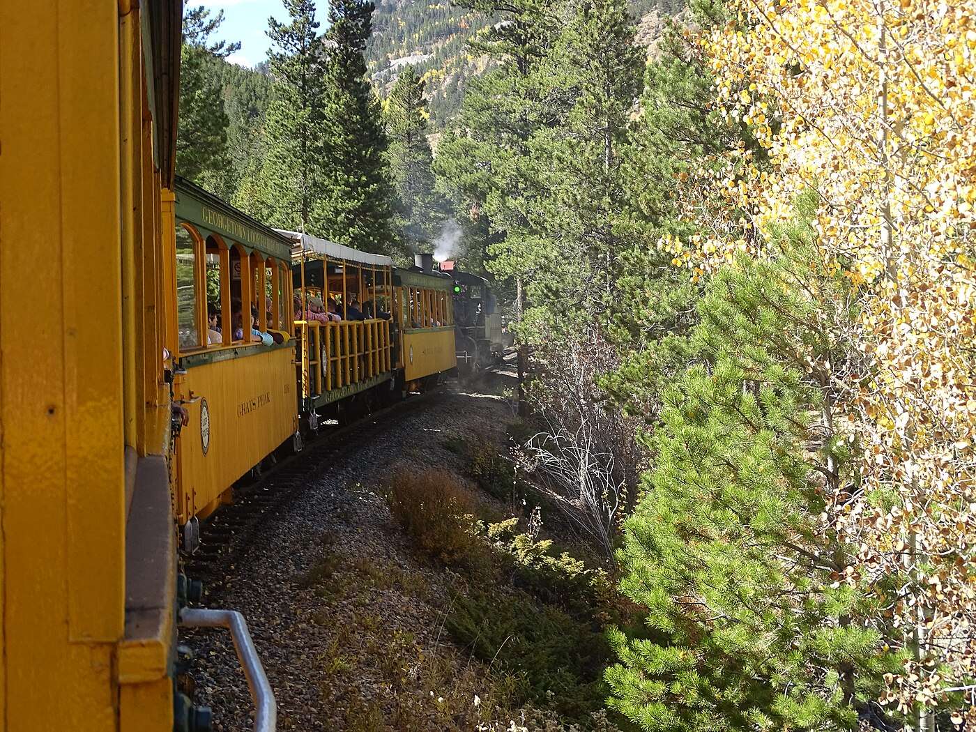 Yellow Georgetown Loop Railroad cars curving through pines and autumn aspens behind a steam locomotive